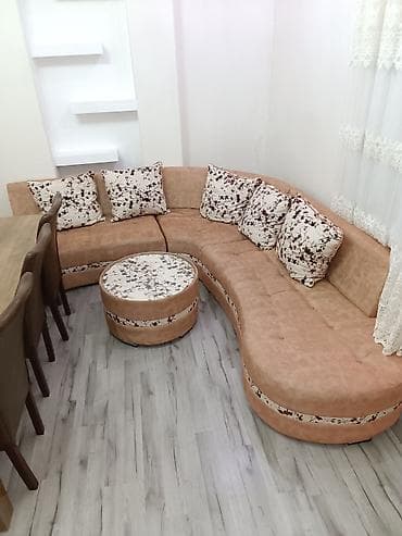 saçaqlı pendir: Masazırda Kontakt Homun qarşısındaki binada mənzil kirayə verilir — 1