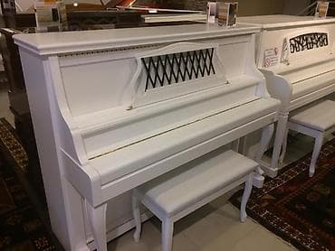 Royal Musiqi Alətleri salonu sizlərə geniş çeşiddə, müxtəlif rəng və lalafo.az -da Royal Musiqi Alətleri salonu sizlərə geniş çeşiddə, müxtəlif rəng və