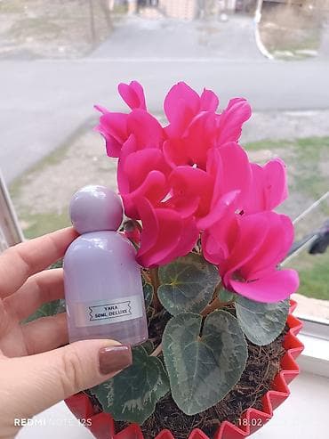 Bədənə qulluq: Məhsul: 50 ml “Deluxs” qadın ətirləri kolleksiyası Variantlar: - — 3