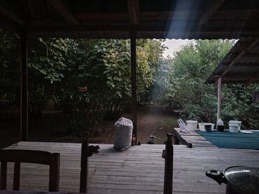 findiq ləpəsi: Salam bağ Qəbələ rayon Nic qəsəbəsində dir bağ 67 sotdan ibarətdir 170 — 3