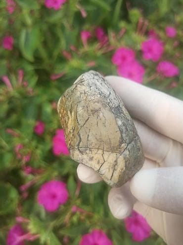 salcano baki: Təbii Naxışlı Təbii Mineral Pikasso Daşı 💎😍 Bu heyrətamiz və təbii — 6