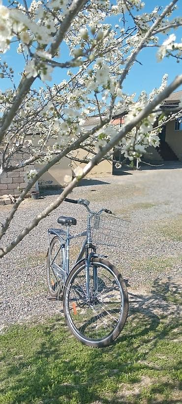 e bike: Şəhər/komfort velosipedi - Rəng: tünd boz - Çərçivə: şəhər tərzli — 2