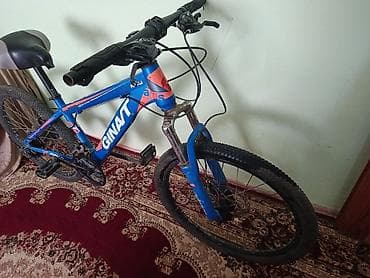 iwlenmiw velosiped: Velosiped – GINAT (MTB tipli) - Rəng: mavi-narıncı loqo və detallar - — 1