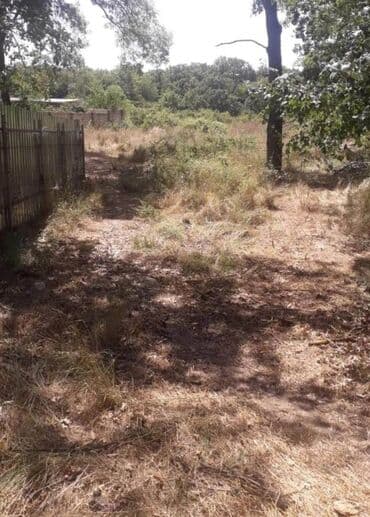 digah torpaq: 25 sot, Kənd təsərrüfatı, Makler, Kupça (Çıxarış) — 8