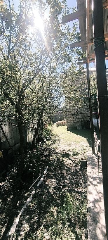 studiya otaq: QƏBƏLƏDƏ KUPÇALI TORPAQ VƏ 2 EV SATILIR! 🏡 Qəbələ rayon mərkəzində — 7