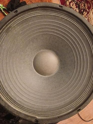 magintafon kalonka: Kolonka, Növ - Sabvufer — 5