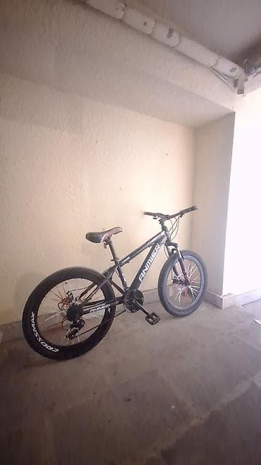 ANMIER X895 dağ velosipedi - Çərçivə: yüngül alaşımlı metal, idman