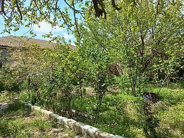 qax a frame: Masazır 4 otaqlı, 130 kv. m — 4