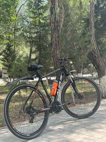 lenkeran velosiped: Новый Городской велосипед Mercury, 29", скоростей: 24, Самовывоз — 6