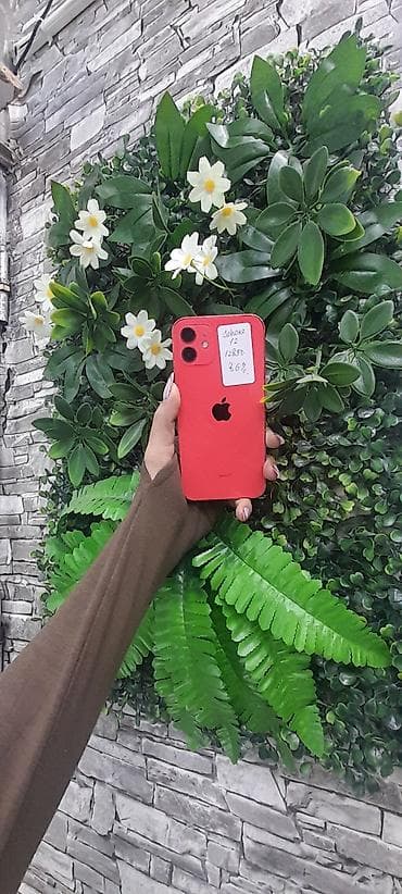 ıphone: IPhone 12, 128 GB, Qırmızı, Face ID — 1