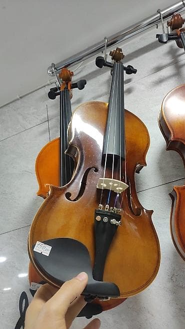 Skripka "Viktor", violin Rast musiqi alətləri mağazası. Əhmədli