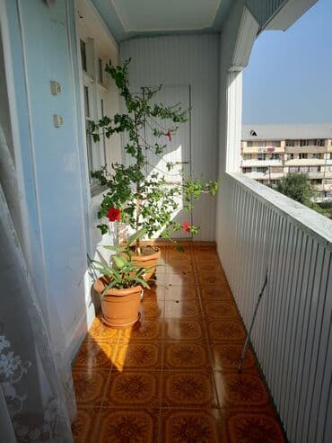 xacmazda dasinmaz əmlak: Savxoz nizamidə 5 mikrayon baxca mektebe yaxın 4 otaqlı 3 balkonu var — 15
