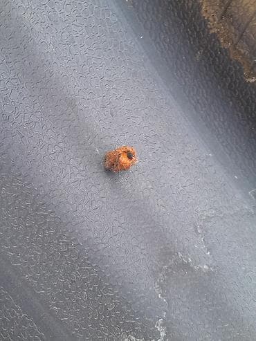 masin elanlari: İşlənmiş Şin Pirelli 245 / 40 / R 20 — 8