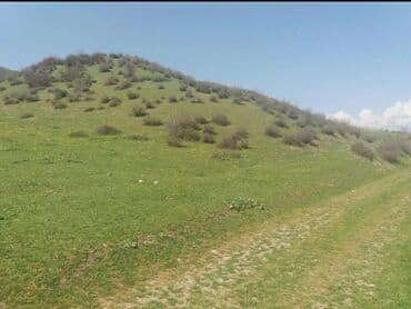 xacmazda satılan evlər: 19 sot, Kənd təsərrüfatı, Mülkiyyətçi, Kupça (Çıxarış) — 9