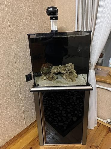 akvarium baliqlari: Hazir okean akvariumu satilir icinde dashi qumu 3 ilbizi musherom — 2