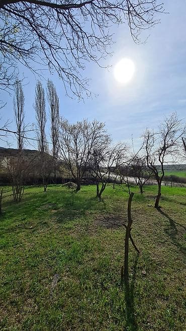 mehemmedi torpaq satisi: Kənd təsərrüfatı, Kupça (Çıxarış) — 10