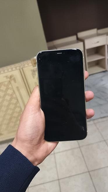 IPhone 11, Ağ