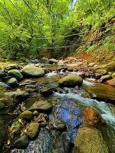 zaqatala ev satisi: 100 kv. m, 2 otaqlı, Qaz, İşıq, Su — 8