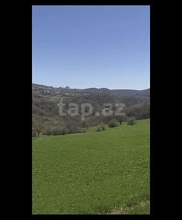 1 otaq kirayə verirəm: 36 sot, Mülkiyyətçi, Kupça (Çıxarış) — 2