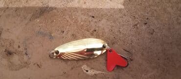 mhm azərbaycan dili qaydalar və testlər pdf: Balıqçılıq qaşıqları dəsti - Plastik saxlama qutusu ilə birlikdə — 5