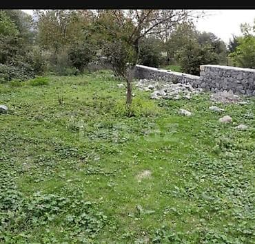 qəbələ rayonu: 10 sot, Tikinti, Barter mümkündür, Kupça (Çıxarış) — 2