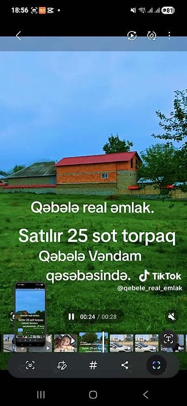 sahe: Tikinti — 1