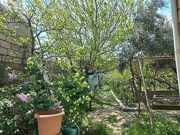 qax a frame: Masazır 4 otaqlı, 130 kv. m — 1