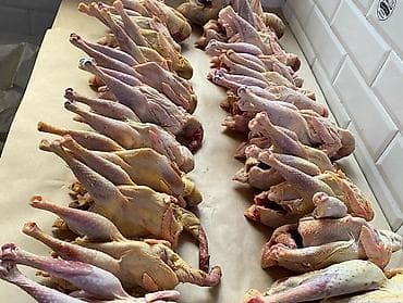 et xengeli: Kənd çolpası çəkiləri 1 kilodan yuxarıdı bakıya çattırılma var 050 325 — 4