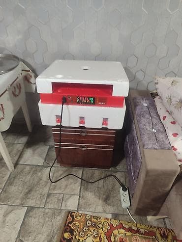 mini inkübatör: Inkubator universal rejimli avtomat 64 yumurtalıq ( barter gazlar ) — 1