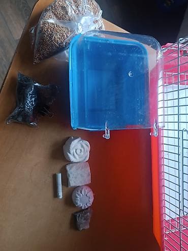 qus yuvasi satisi: Qəfəs.Cox səliqəli islənib.Təmizdi.Orta razmerdədi — 2