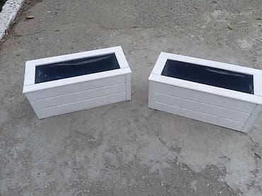 sam agaci satilir: 100x30x35 olan dipcəkler Gulun hundurluyu 60-70sm Torfu və əkilməsi — 10