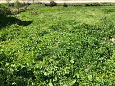 yeni əmlak sumqayıt: 30 sot, Kənd təsərrüfatı, Mülkiyyətçi, Kupça (Çıxarış) — 17