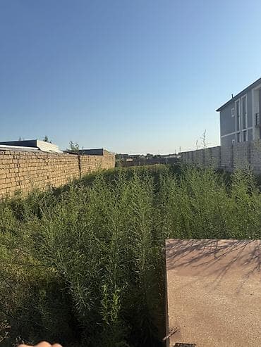 topaq: 6 sot, Tikinti, Mülkiyyətçi, Kupça (Çıxarış) — 1