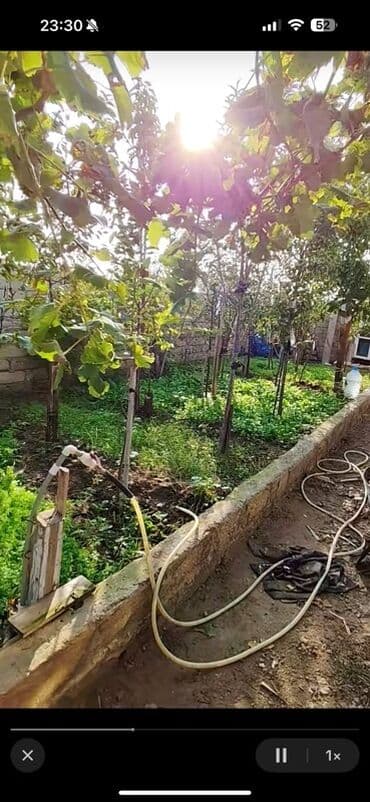 zabratda ucuz heyet evleri 2022: Həyətyanı sahəli fərdi yaşayış evi - Aşağı kürsülü, maili dam — 8