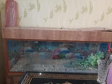 qlo: Akvarium 80 litr — 5
