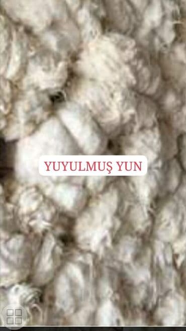 yun satışı: Yun satişi satışda yuyulmuş şamaxı yunu var qiymətlər keyfiyyətə — 4