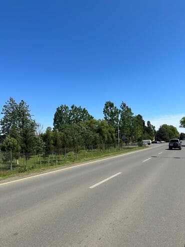 24 sot, Biznes üçün, Mülkiyyətçi, Kupça (Çıxarış)