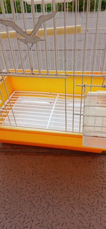 cücə qəfəsi: Quş qəfəsi – yarımdairəvi üst hissəli, metal barmaqlıqlı model — 1