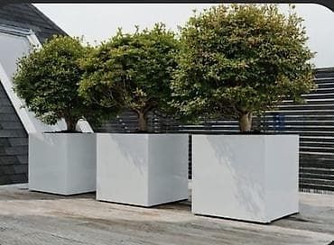 Məhsul: Böyük ölçülü dekorativ kvadrat çiçək/ ağac qabları Təsvir: - — 2