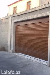 Otaq bitkiləri: Jalyuz qapila — 2