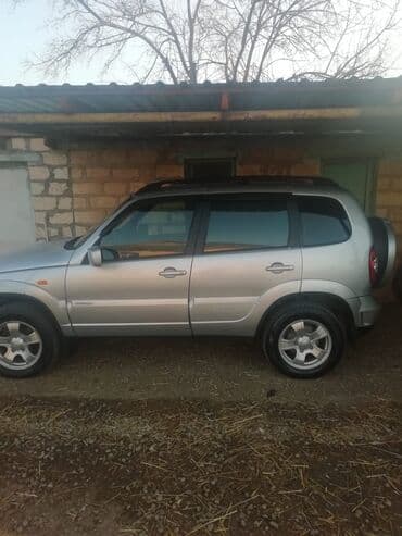 disk təkərlər: Chevrolet Niva: 1.7 l | 2010 il 169817 km Ofrouder/SUV — 2