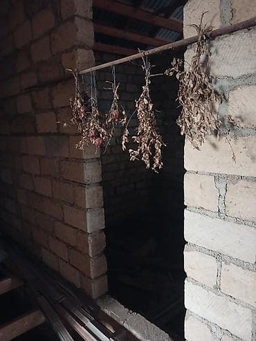 gencede evler satisi: Həyət evləri və villaların satışı — 9