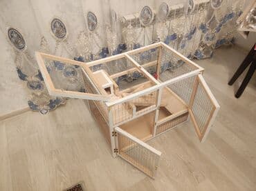 ag dovsan: Dovşan,hamster,dağ — 6