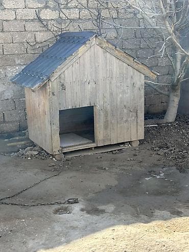 itlər bala: Taxta it evi - Material: qalın taxta karkas, üzəri taxta lövhələr - — 2