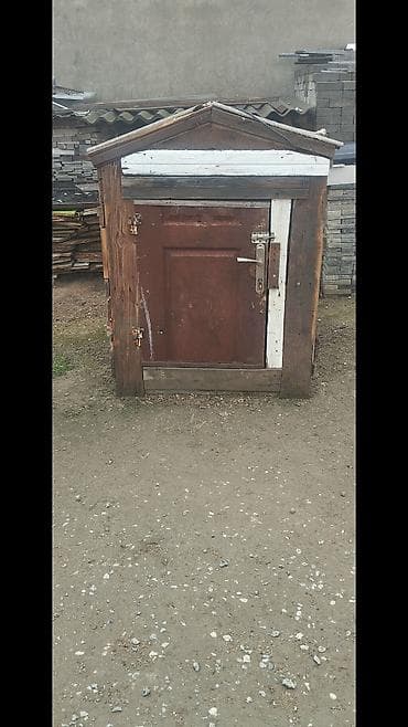 bramo toyuq: Göyerçin üçün quşxana satılır ünvan bine qiymet 50 azn içinde 20 dene — 2