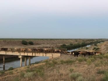 сдается 3 комнатная квартира: 40000 sot, Kənd təsərrüfatı, Mülkiyyətçi, Müqavilə — 12