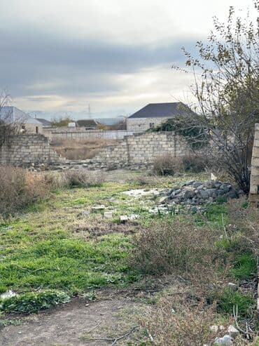 türkanda bağ evi satılır: 8 соток, Для сельского хозяйства, Собственник, Бялядия (муниципалитет) — 4