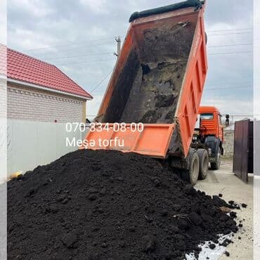 dibcək gulləri ev gulleri ve adlari: Məhsul: Meşə torfu (qara, yüksək humuslu torpaq qarışığı) Təsvir: - — 1