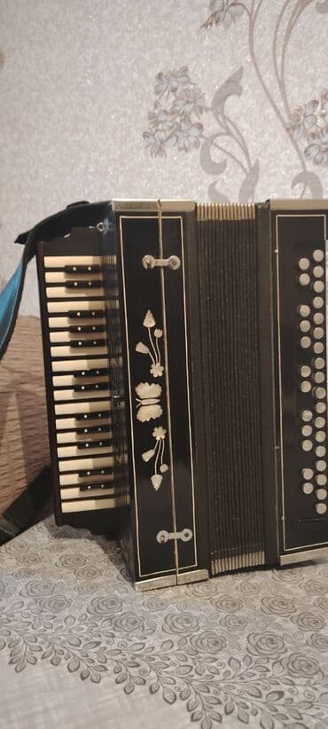 Digər musiqi alətləri: Akustik Akkordeon — 1
