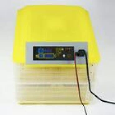 inkubator avadanlıqları: Bütün növ quşlaq üçün — 1